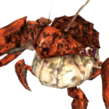 Crab
